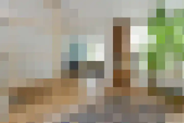 Johan Mekkinkstraat 12 Eindhoven thumbnail 16