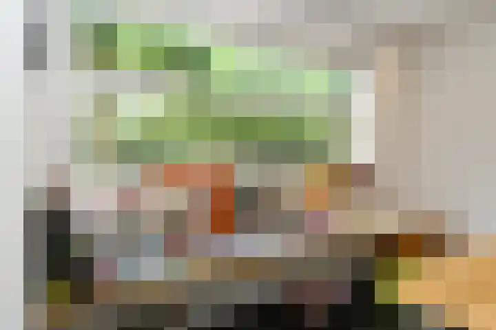 Johan Mekkinkstraat 12 Eindhoven thumbnail 21