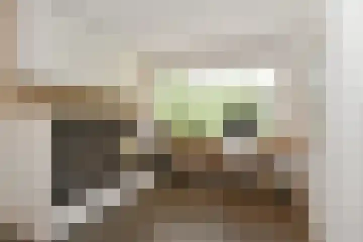 Johan Mekkinkstraat 12 Eindhoven thumbnail 23