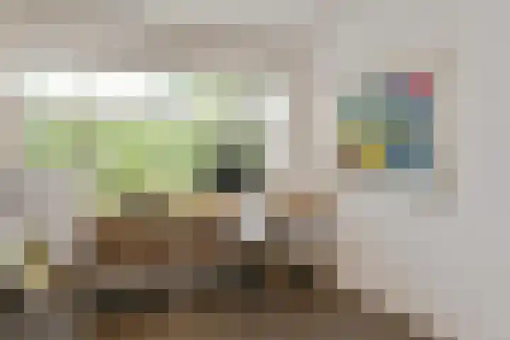 Johan Mekkinkstraat 12 Eindhoven thumbnail 24