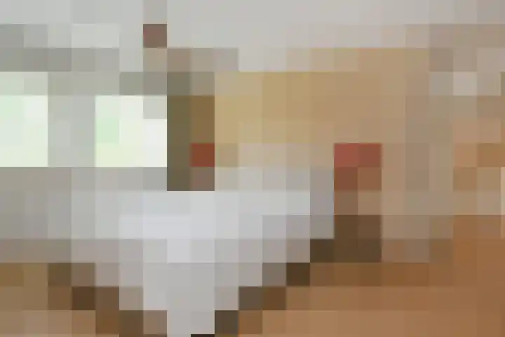 Johan Mekkinkstraat 12 Eindhoven thumbnail 25