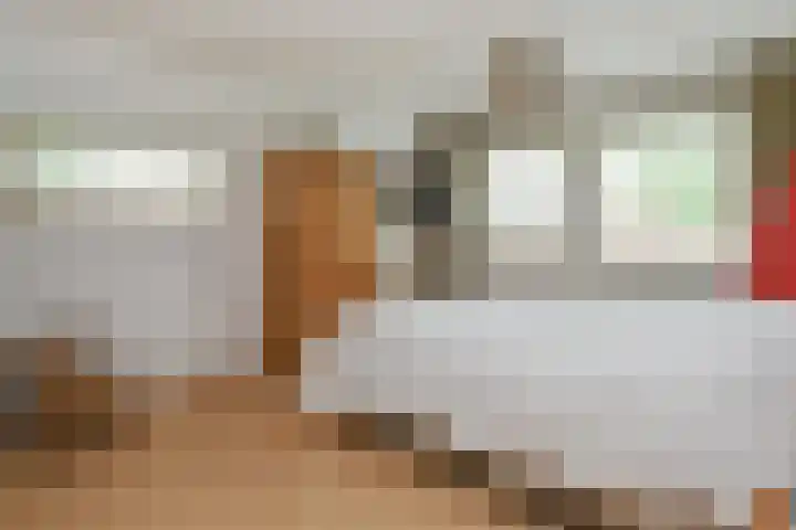 Johan Mekkinkstraat 12 Eindhoven thumbnail 26