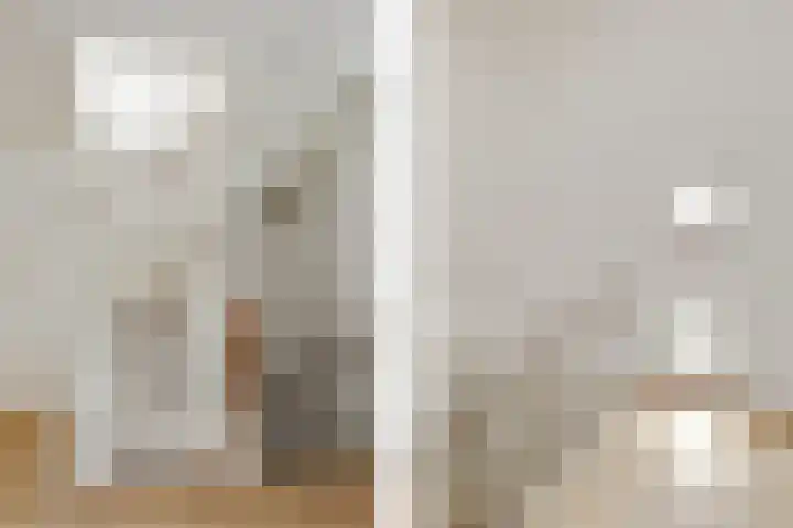 Johan Mekkinkstraat 12 Eindhoven thumbnail 30