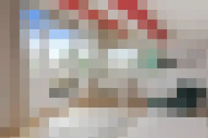 Johan Mekkinkstraat 12 Eindhoven thumbnail 32