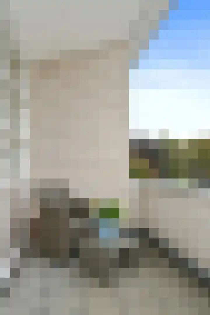 Johan Mekkinkstraat 12 Eindhoven thumbnail 33