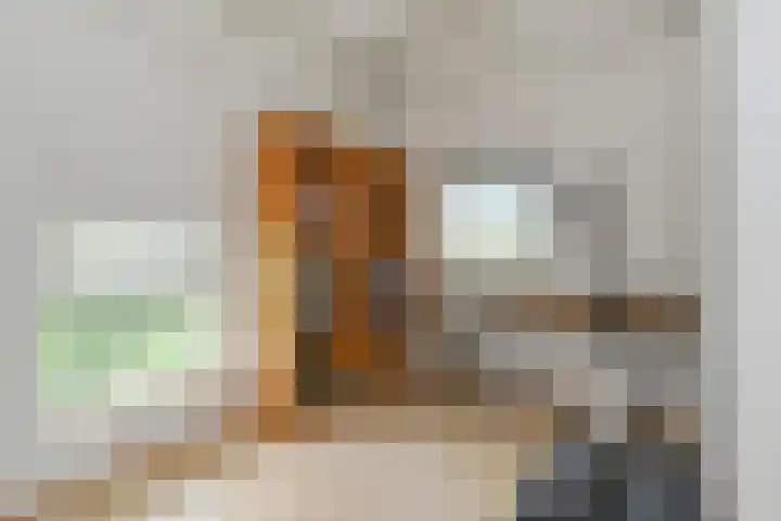 Johan Mekkinkstraat 12 Eindhoven thumbnail 37
