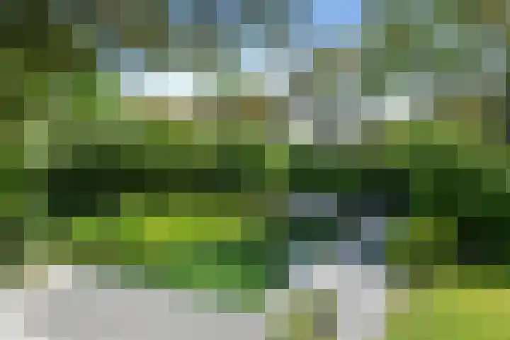 Johan Mekkinkstraat 12 Eindhoven thumbnail 4
