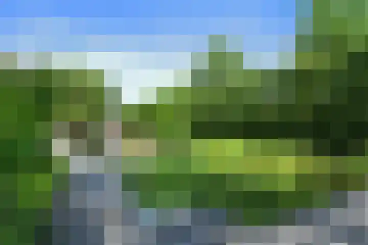 Johan Mekkinkstraat 12 Eindhoven thumbnail 47