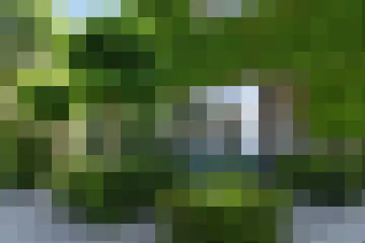 Johan Mekkinkstraat 12 Eindhoven thumbnail 6