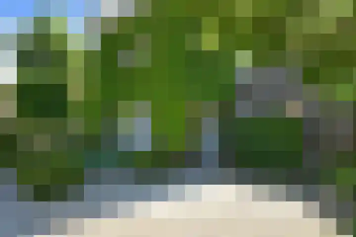 Johan Mekkinkstraat 12 Eindhoven thumbnail 7