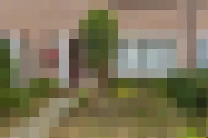 Johan Melchior Kemperstraat 3 Vlissingen thumbnail 29