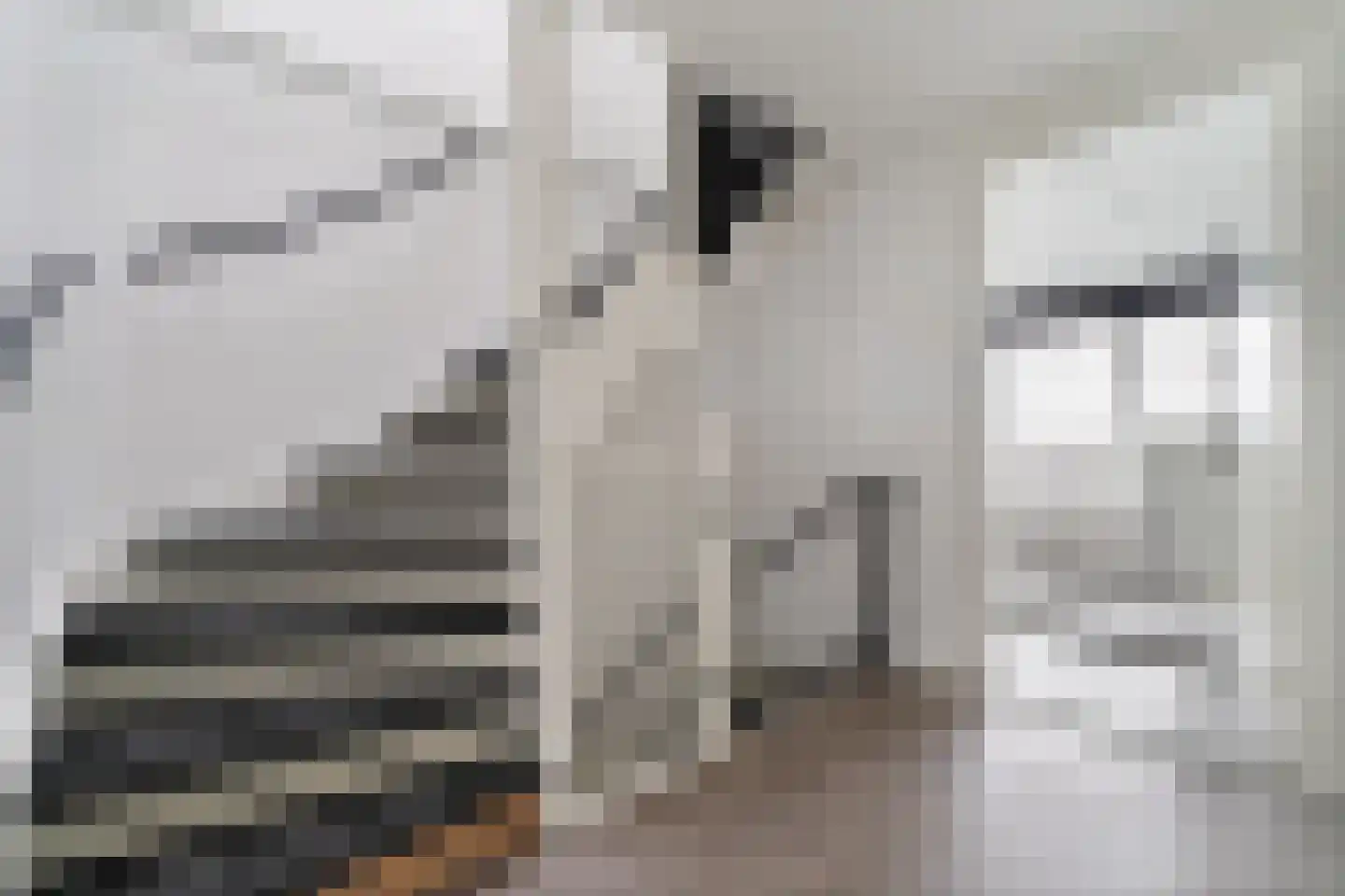 Johan Melchior Kemperstraat 78 Vlissingen thumbnail 20