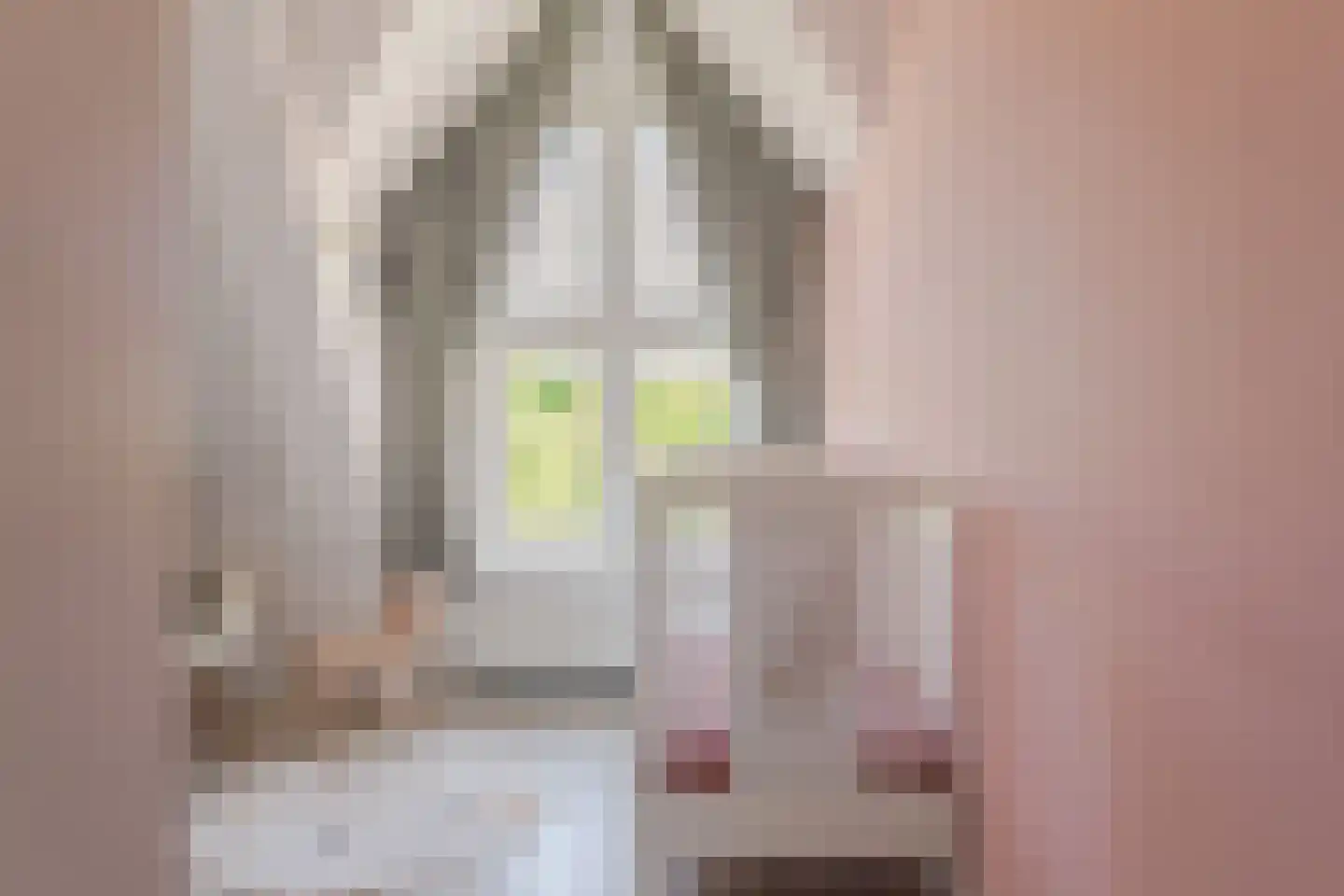 Johan Messchaertstraat 1 F Hoorn thumbnail 25