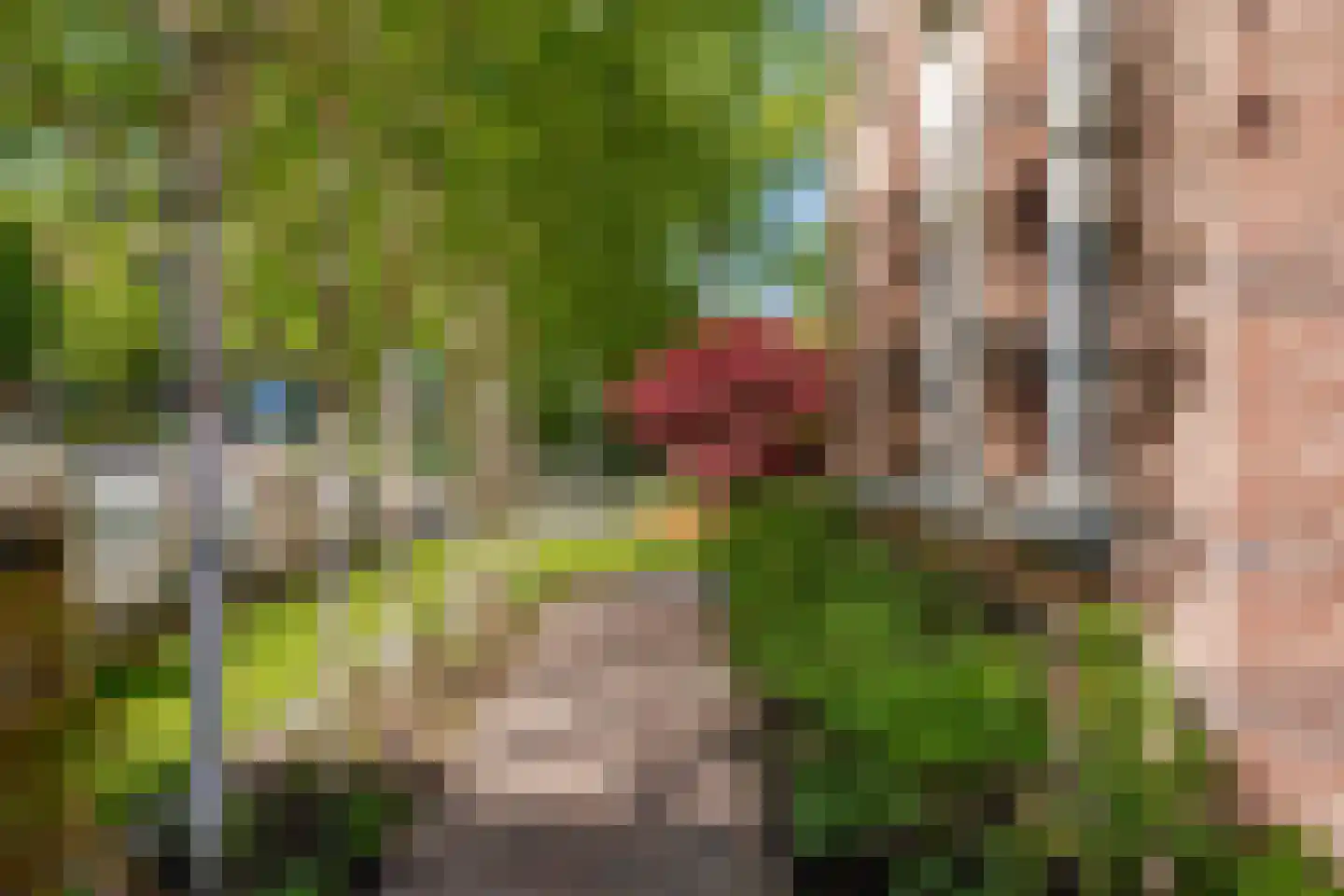 Johan Messchaertstraat 1 F Hoorn thumbnail 31