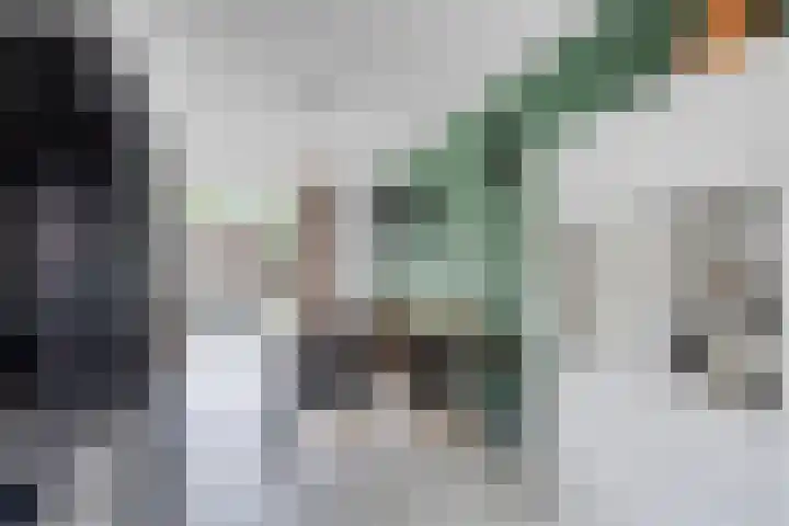 Johan Metzelaarstraat 33 Breda thumbnail 10