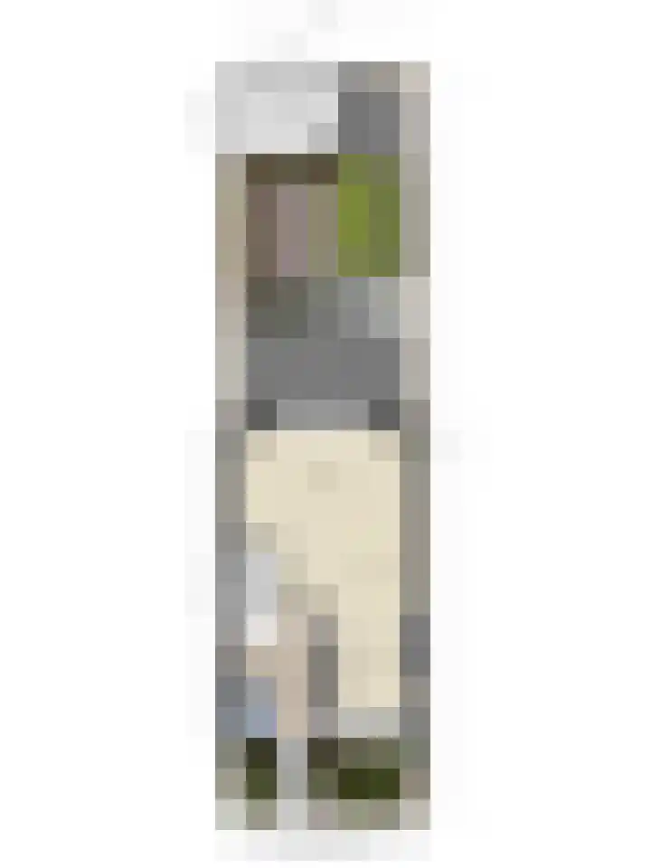 Johan Metzelaarstraat 33 Breda thumbnail 36