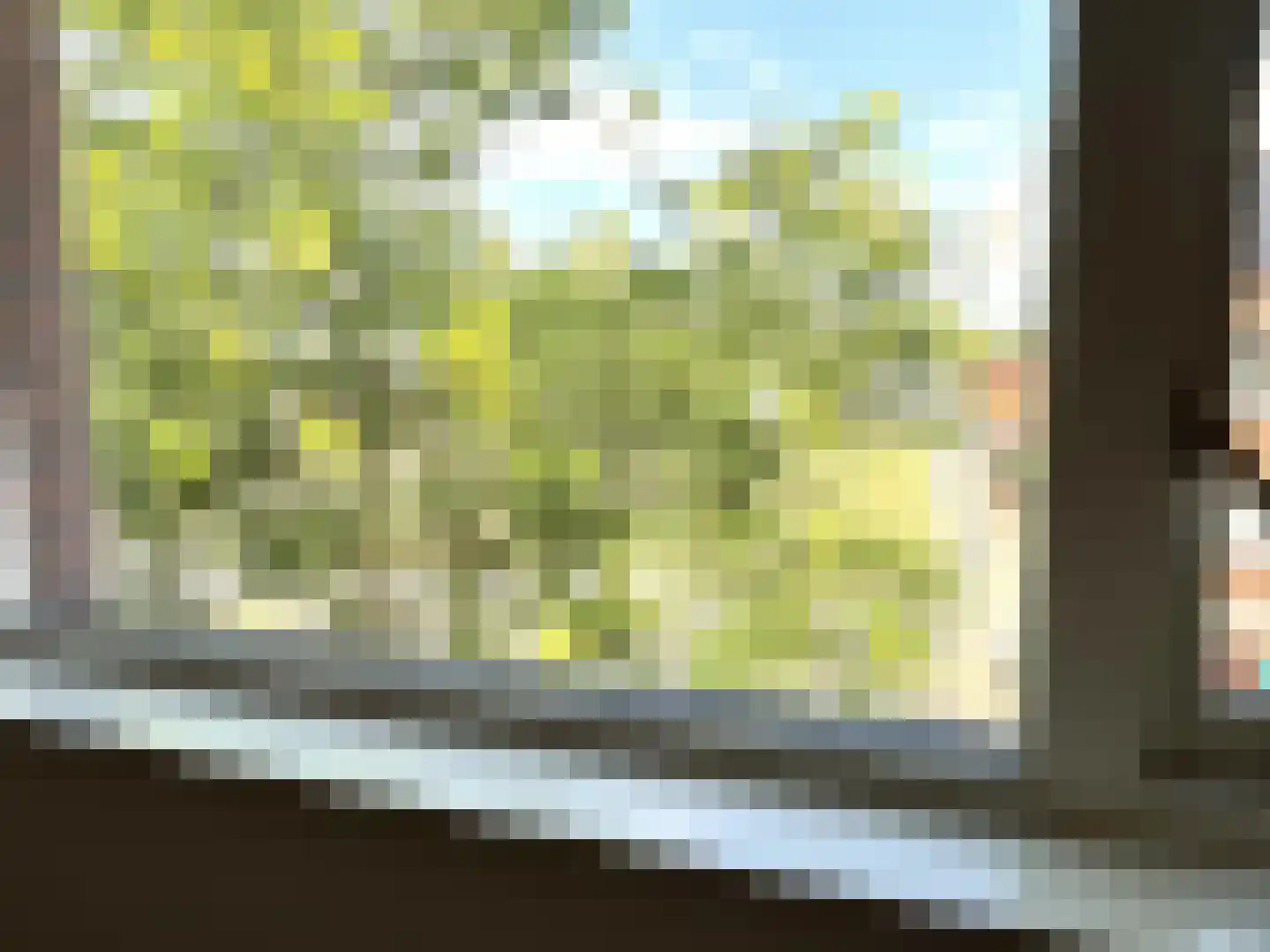 Johan Metzelaarstraat 44 Breda thumbnail 22