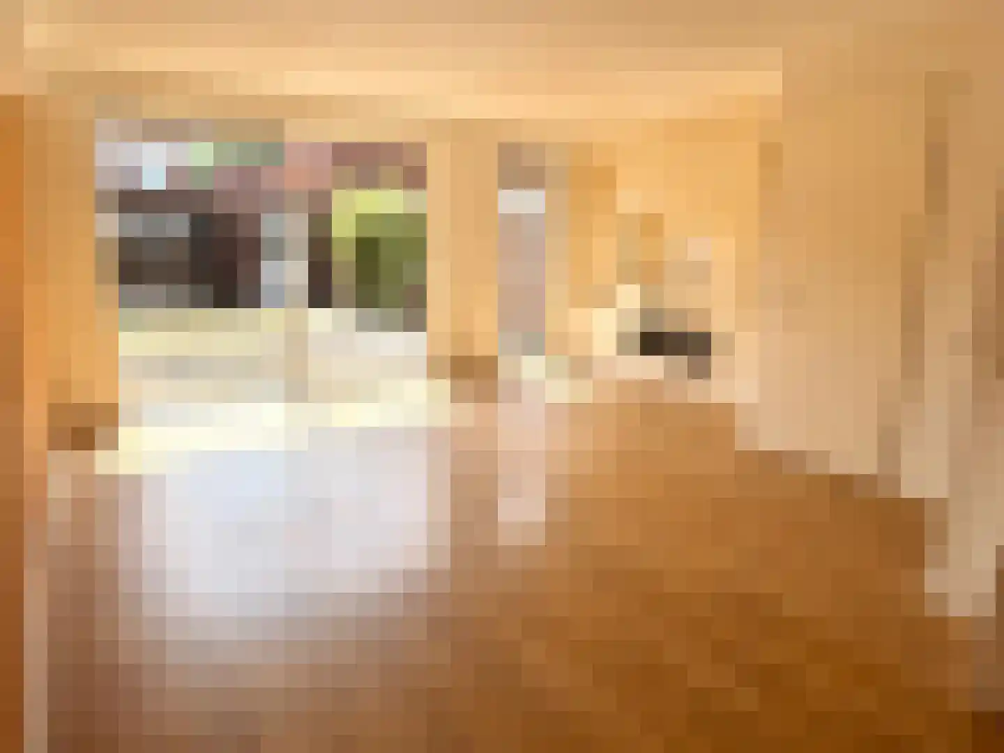 Johan Metzelaarstraat 44 Breda thumbnail 5