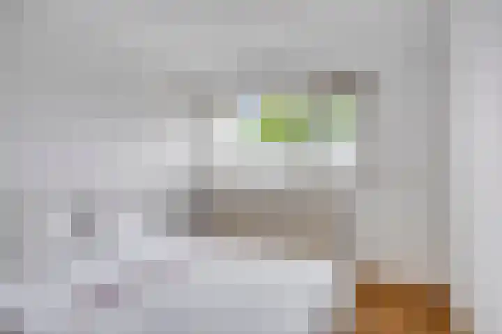 Johan Pieter van den Brandestraat 1 Middelburg thumbnail 13