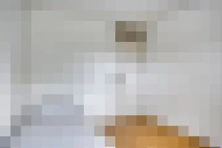 Johan Pieter van den Brandestraat 1 Middelburg thumbnail 16