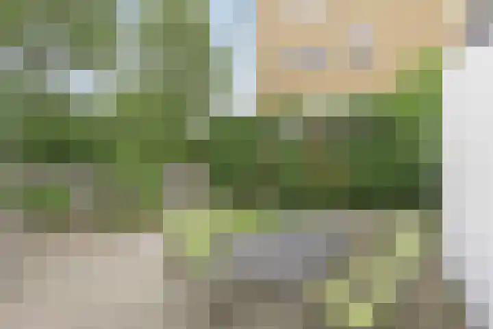 Johan Pieter van den Brandestraat 1 Middelburg thumbnail 20