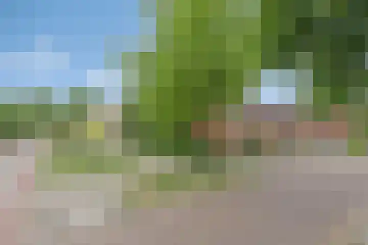 Johan Pieter van den Brandestraat 1 Middelburg thumbnail 23