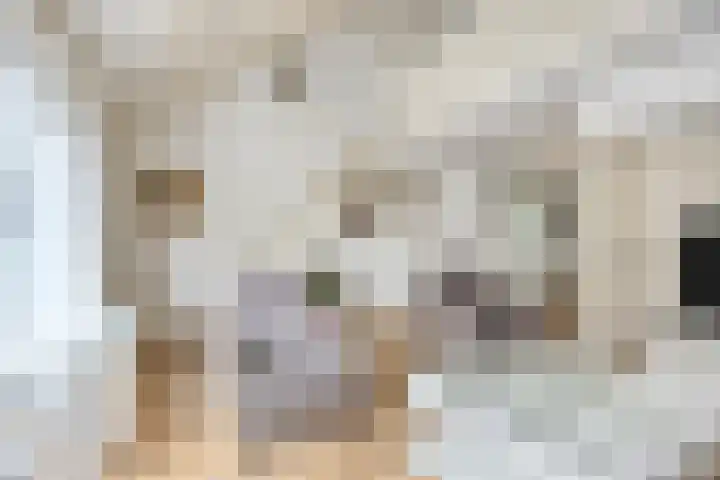 Johan Pieter van den Brandestraat 1 Middelburg thumbnail 4