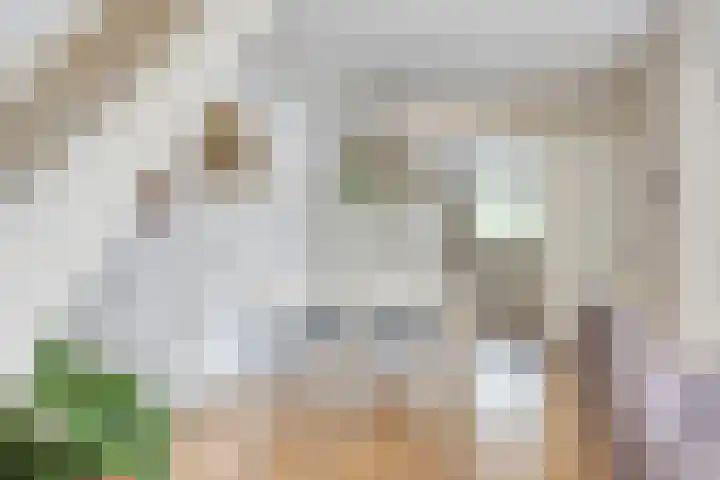 Johan Pieter van den Brandestraat 1 Middelburg thumbnail 5
