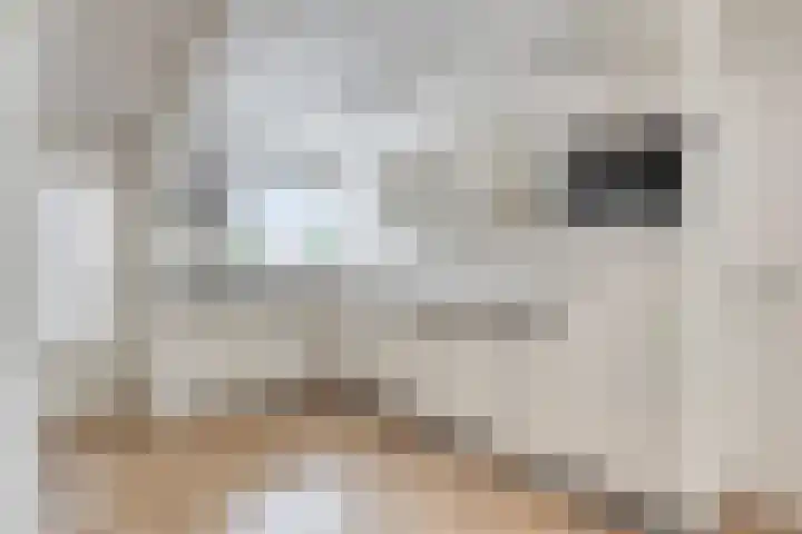 Johan Pieter van den Brandestraat 1 Middelburg thumbnail 6