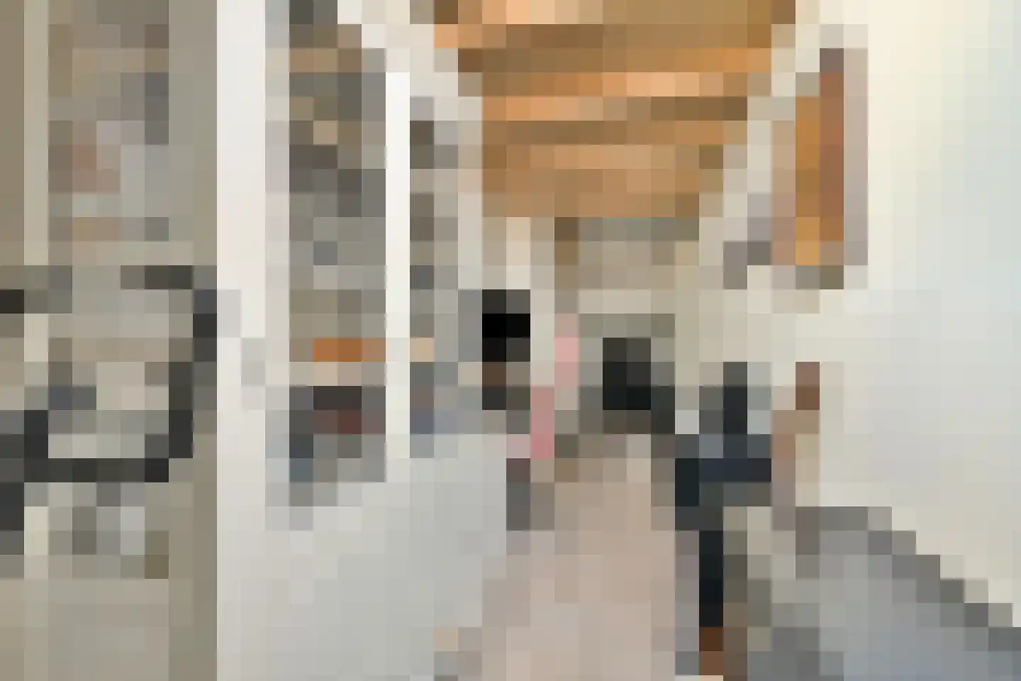 Johan Ramaerstraat 15 3 Amsterdam thumbnail 19
