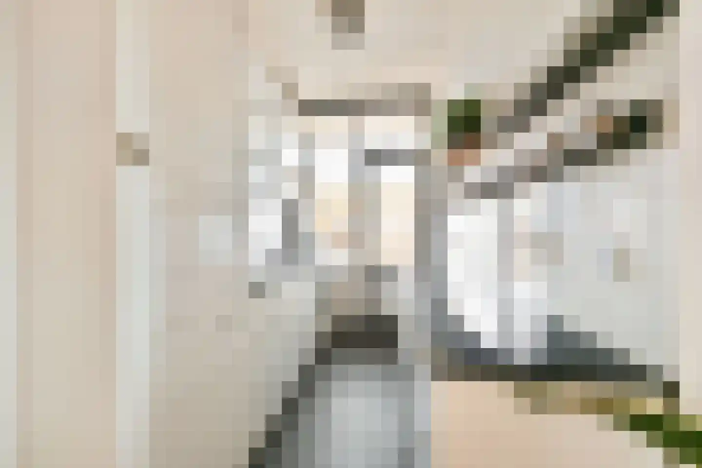 Johan Ramaerstraat 15 3 Amsterdam thumbnail 8