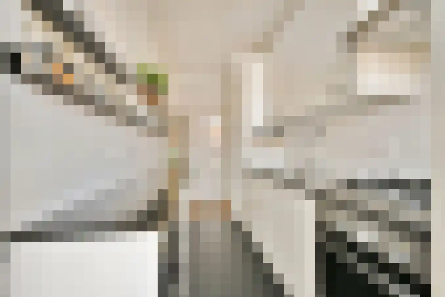Johan Ramaerstraat 15 3 Amsterdam thumbnail 9