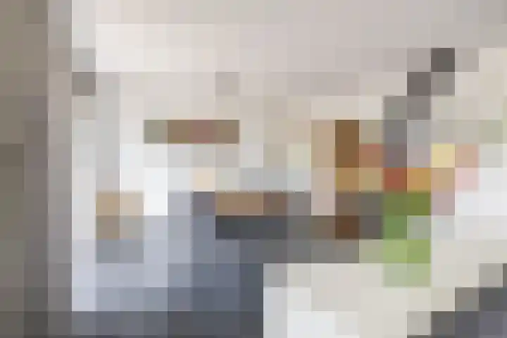 Johan Rengerssingel 1 Harkstede thumbnail 14
