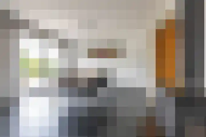 Johan Rengerssingel 1 Harkstede thumbnail 15