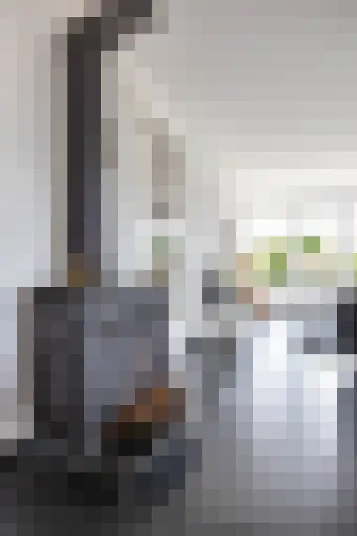 Johan Rengerssingel 1 Harkstede thumbnail 17
