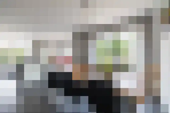 Johan Rengerssingel 1 Harkstede thumbnail 18