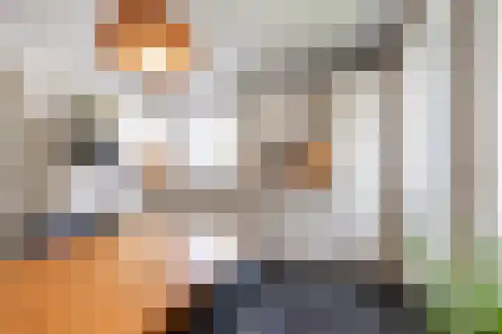 Johan Rengerssingel 1 Harkstede thumbnail 23