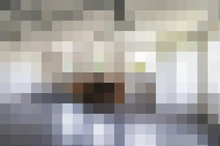 Johan Rengerssingel 1 Harkstede thumbnail 30