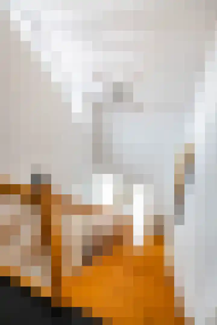 Johan Rengerssingel 1 Harkstede thumbnail 32