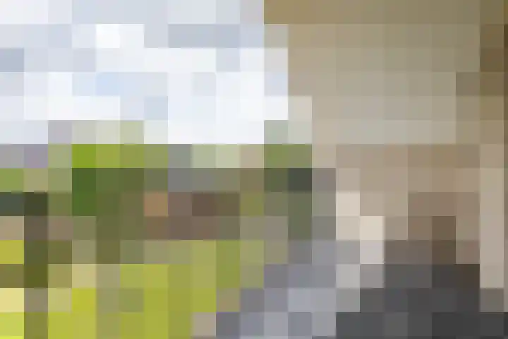 Johan Rengerssingel 1 Harkstede thumbnail 41