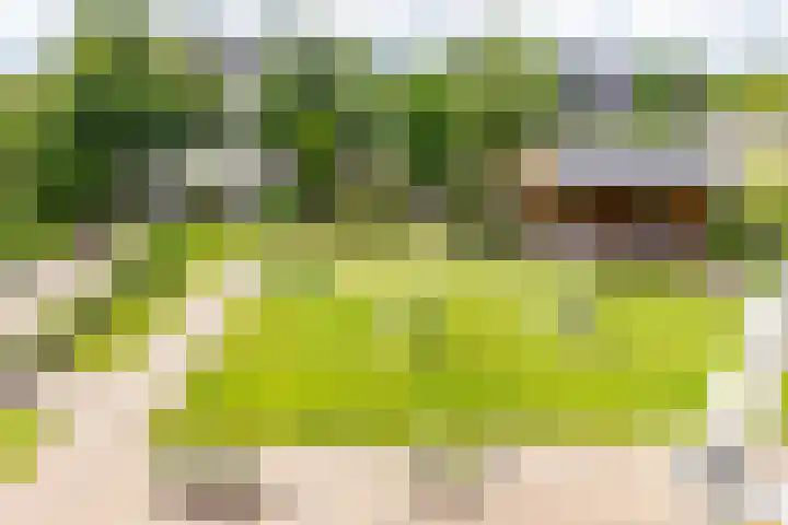 Johan Rengerssingel 1 Harkstede thumbnail 42