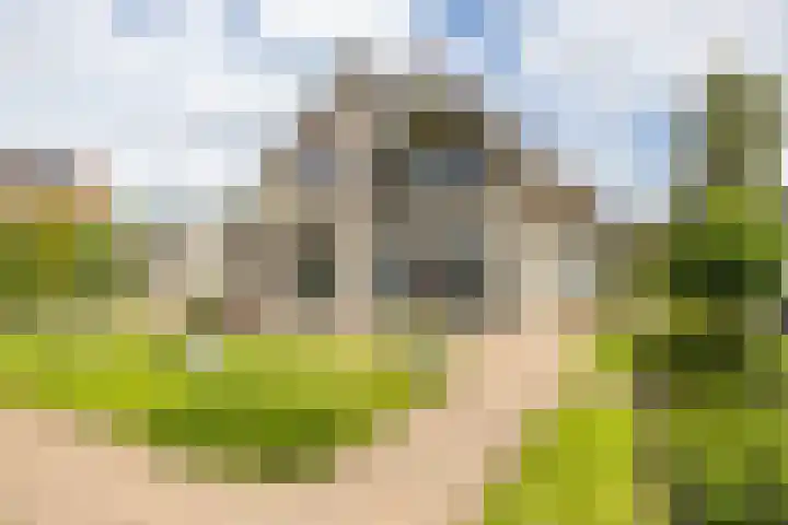 Johan Rengerssingel 1 Harkstede thumbnail 48
