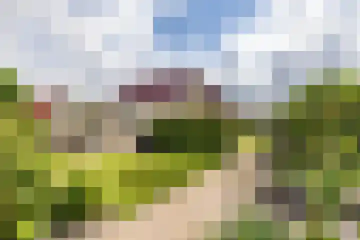 Johan Rengerssingel 1 Harkstede thumbnail 49