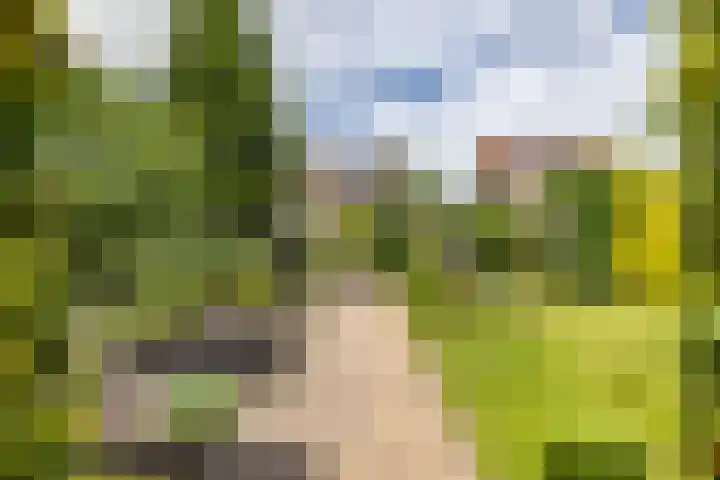 Johan Rengerssingel 1 Harkstede thumbnail 50