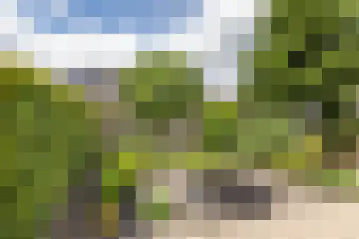 Johan Rengerssingel 1 Harkstede thumbnail 51