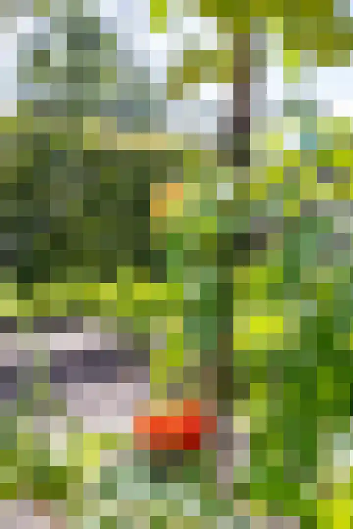 Johan Rengerssingel 1 Harkstede thumbnail 52