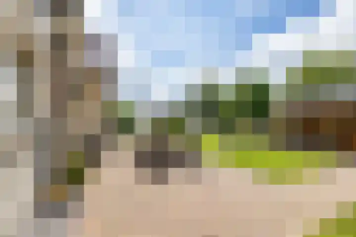 Johan Rengerssingel 1 Harkstede thumbnail 54