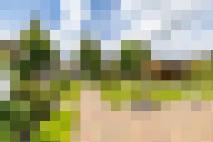 Johan Rengerssingel 1 Harkstede thumbnail 55