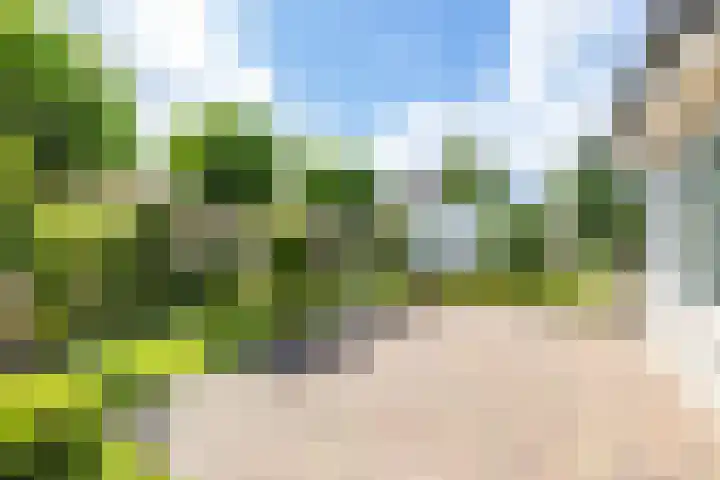 Johan Rengerssingel 1 Harkstede thumbnail 56