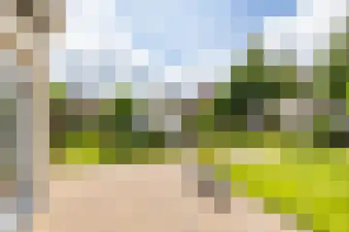 Johan Rengerssingel 1 Harkstede thumbnail 57